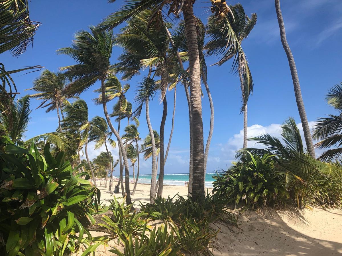 Art Villa Dominicana Punta Cana Esterno foto